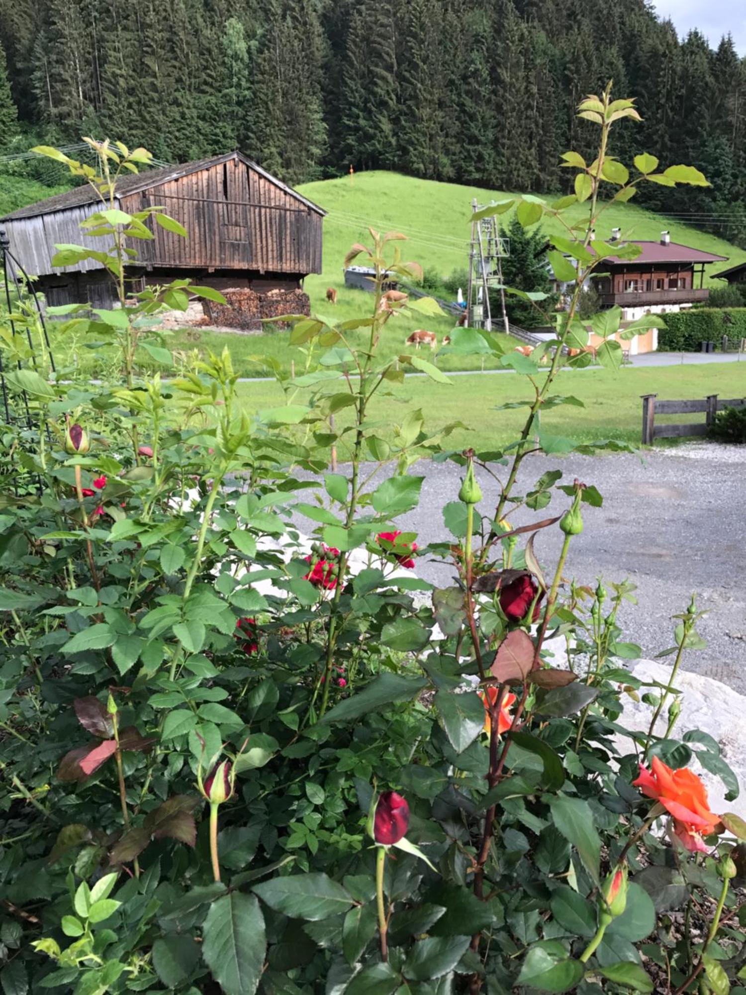 Das Kitz Jochberg Exterior foto